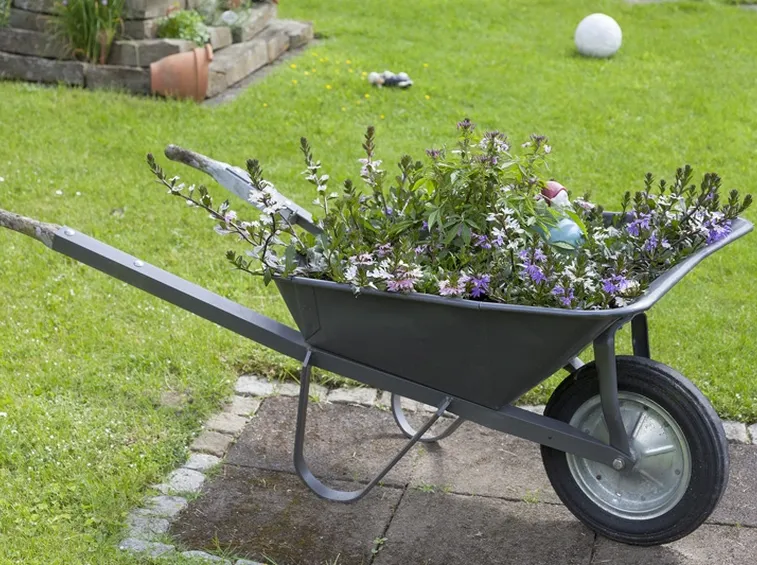 Carriola lavori giardinaggio