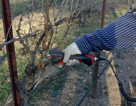 Forbici elettriche per potatura