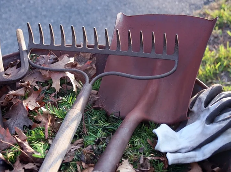 Forcone ed altri attrezzi da giardino