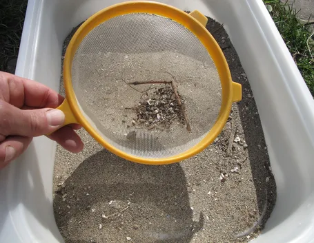 Setaccio in plastica