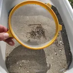 Setaccio in plastica