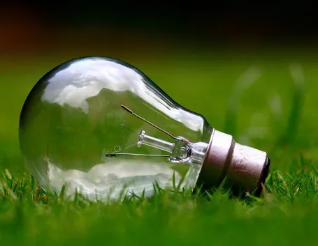 Lampadina sull'erba