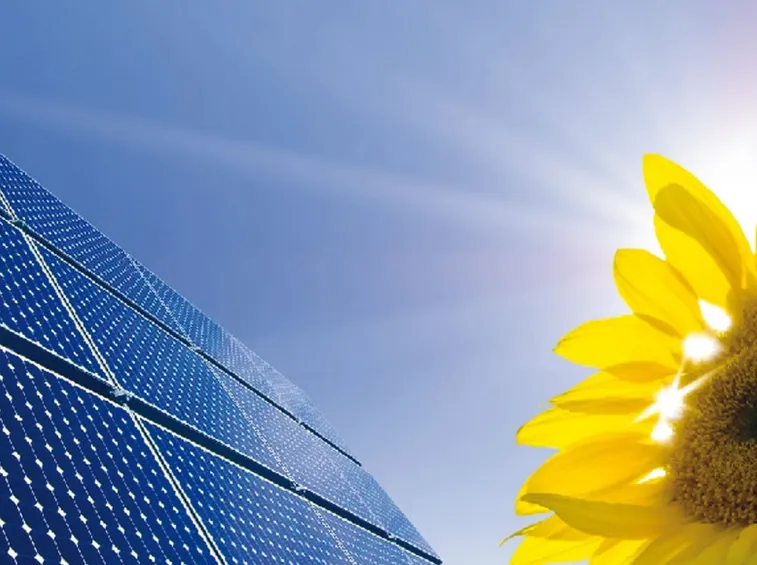 Pannelli per l'energia solare rinnovabile