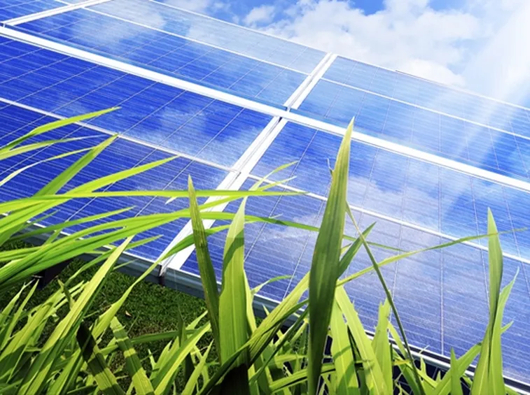L'energia rinnovabile è la migliore scelta per te e per il pianeta!