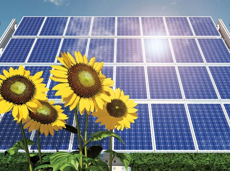 Energia ecosostenibile
