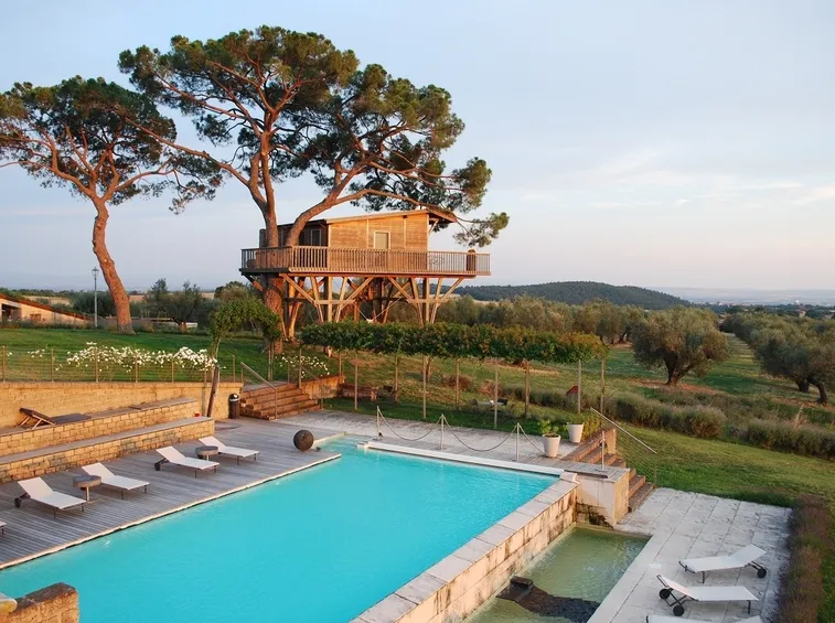 Hotel albero