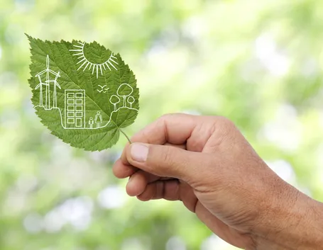 energie rinnovabili