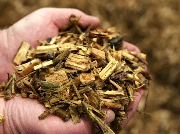 Cippato biomassa