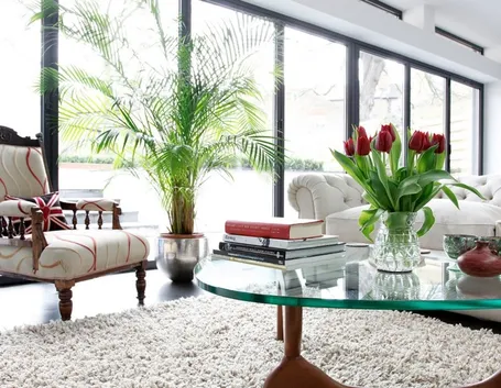 Splendido esempio di verde in casa