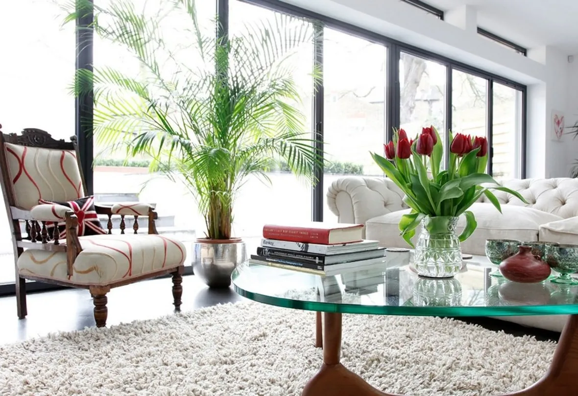 Splendido esempio di verde in casa