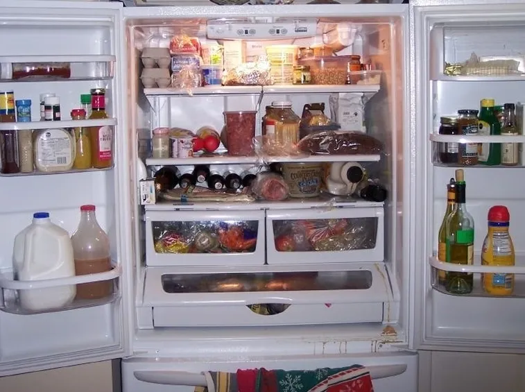 Interno frigorifero