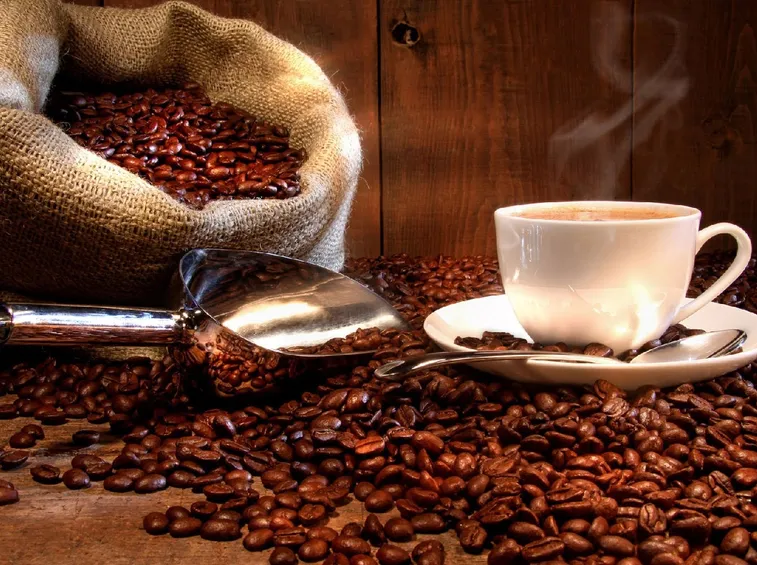 Caffè in polvere per macchina manuale