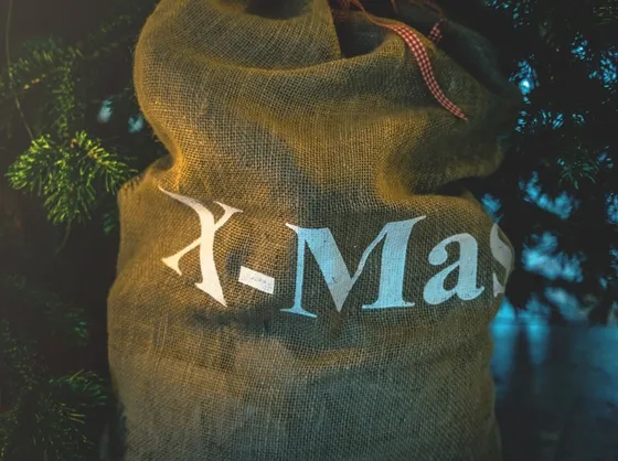 decorazioni di natale fai da te: albero da addobbare
