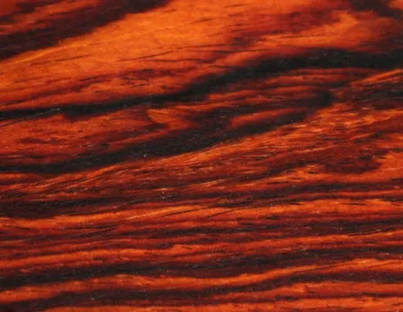 mogano legno