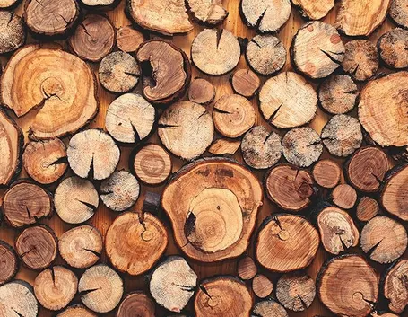 Tanti tipi di legno