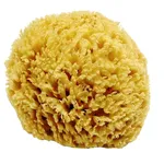 Spugna naturale