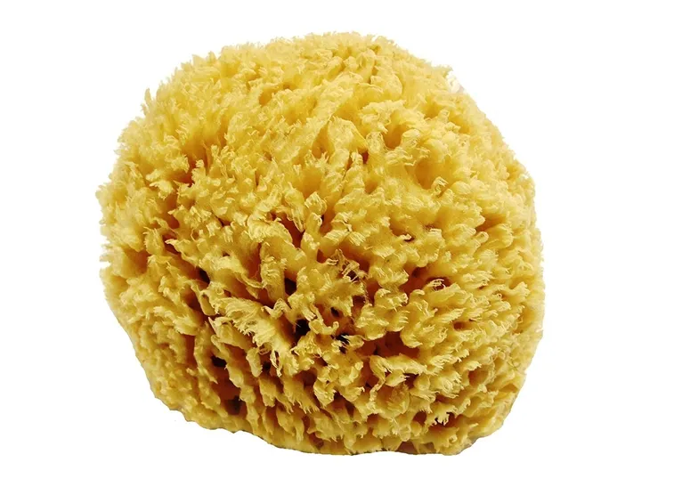 Spugna naturale