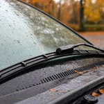 Perché l'autunno è il momento del controllo