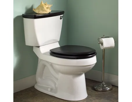 esempio cassetta del wc incassata