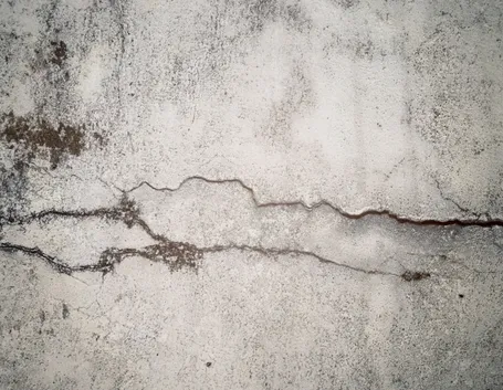 Crepe sul muro