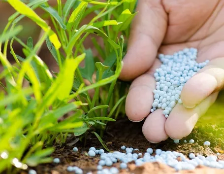 Fertilizzante piante