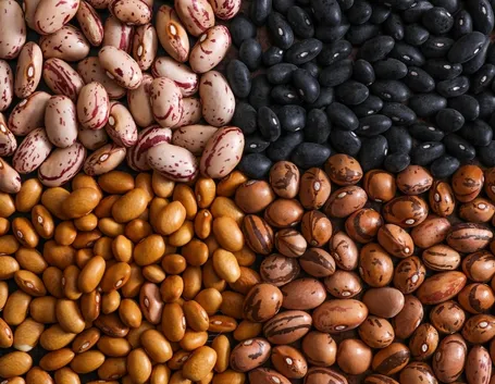 Varietà fagioli