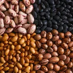 Varietà fagioli