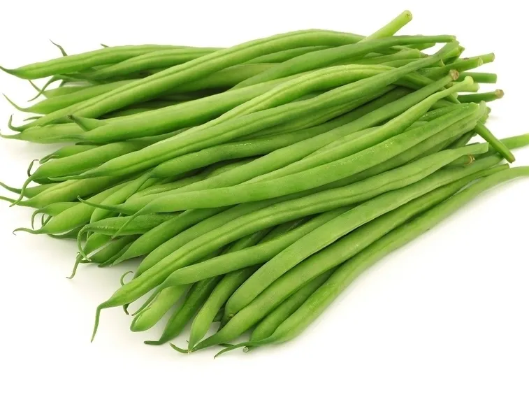 Fagiolini verdi
