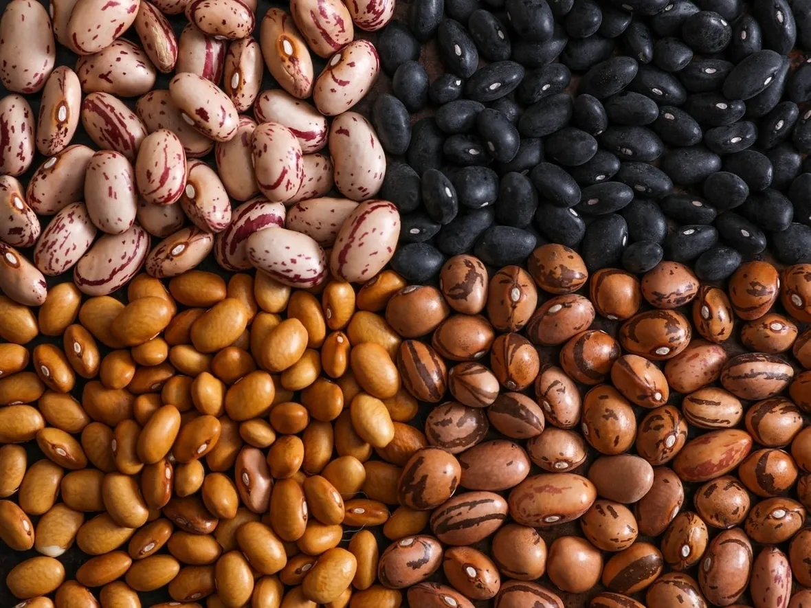 Varietà fagioli