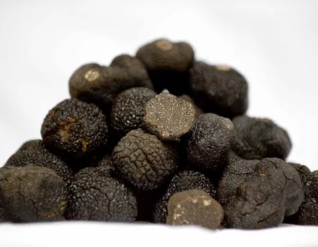 tartufo nero
