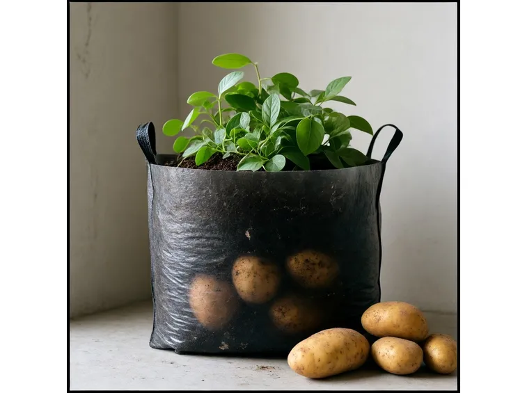Patate in sacco