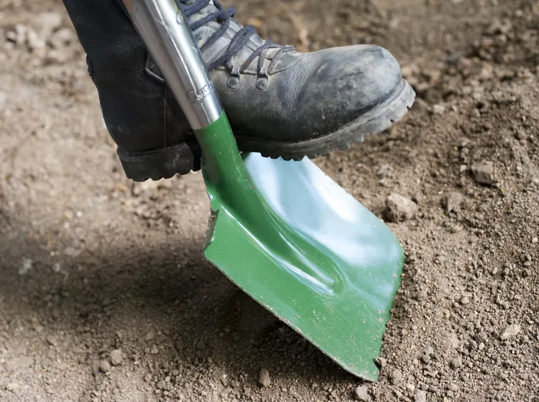 Preparazione terreno