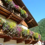 Balcone fiorito