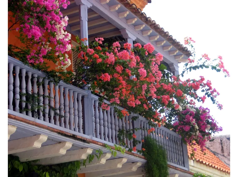 Balcone con tanti fiori
