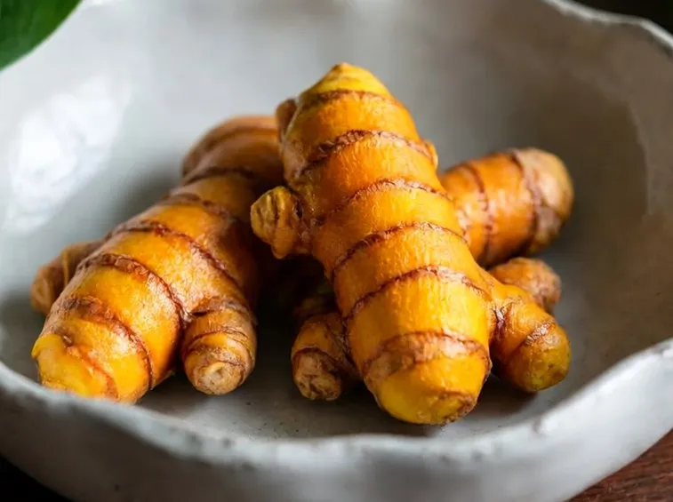 curcuma radici