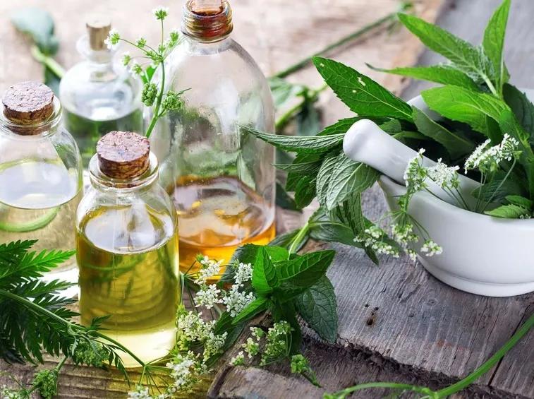 Utilizzo salvia