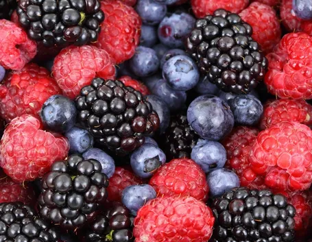 Frutti di bosco