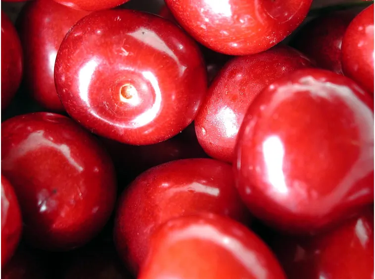 Frutti ciliegio