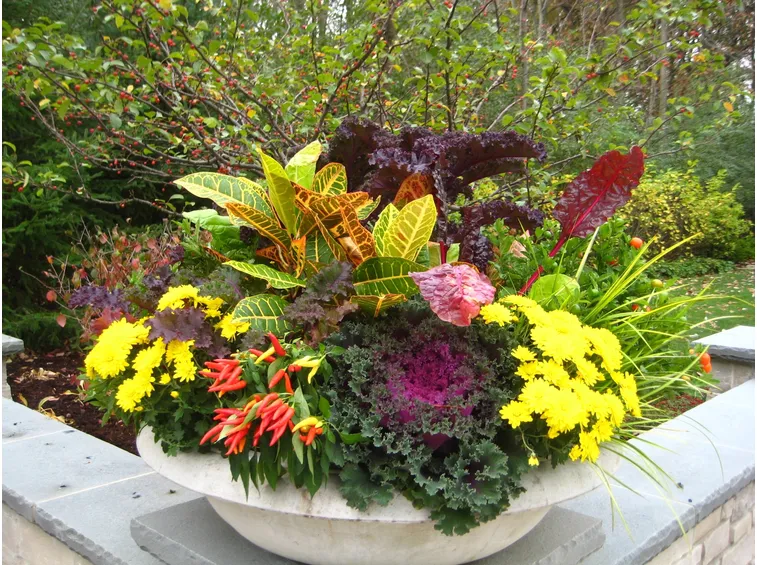 Idee fiori