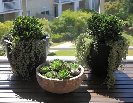 Vasi da balcone colorati