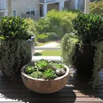 Vasi da balcone colorati