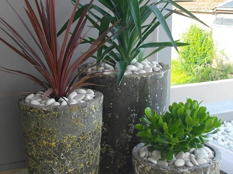 Vaso ornamentale
