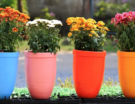 Vasi in plastica colorati