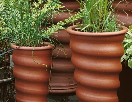 Vasi terracotta