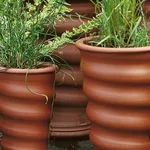 Vasi terracotta