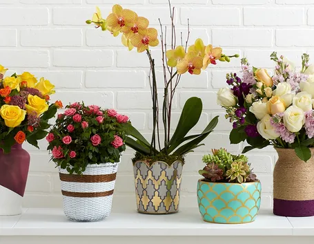 Vasi da fiori decorati