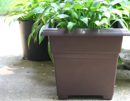 Vaso da giardino in plastica