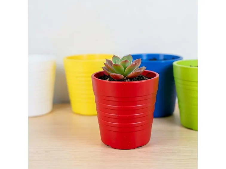 Vasi in plastica colorati