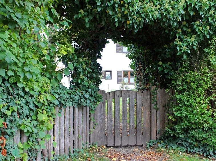 Cancello per giardino