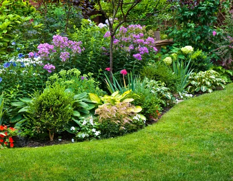 Come progettare giardino